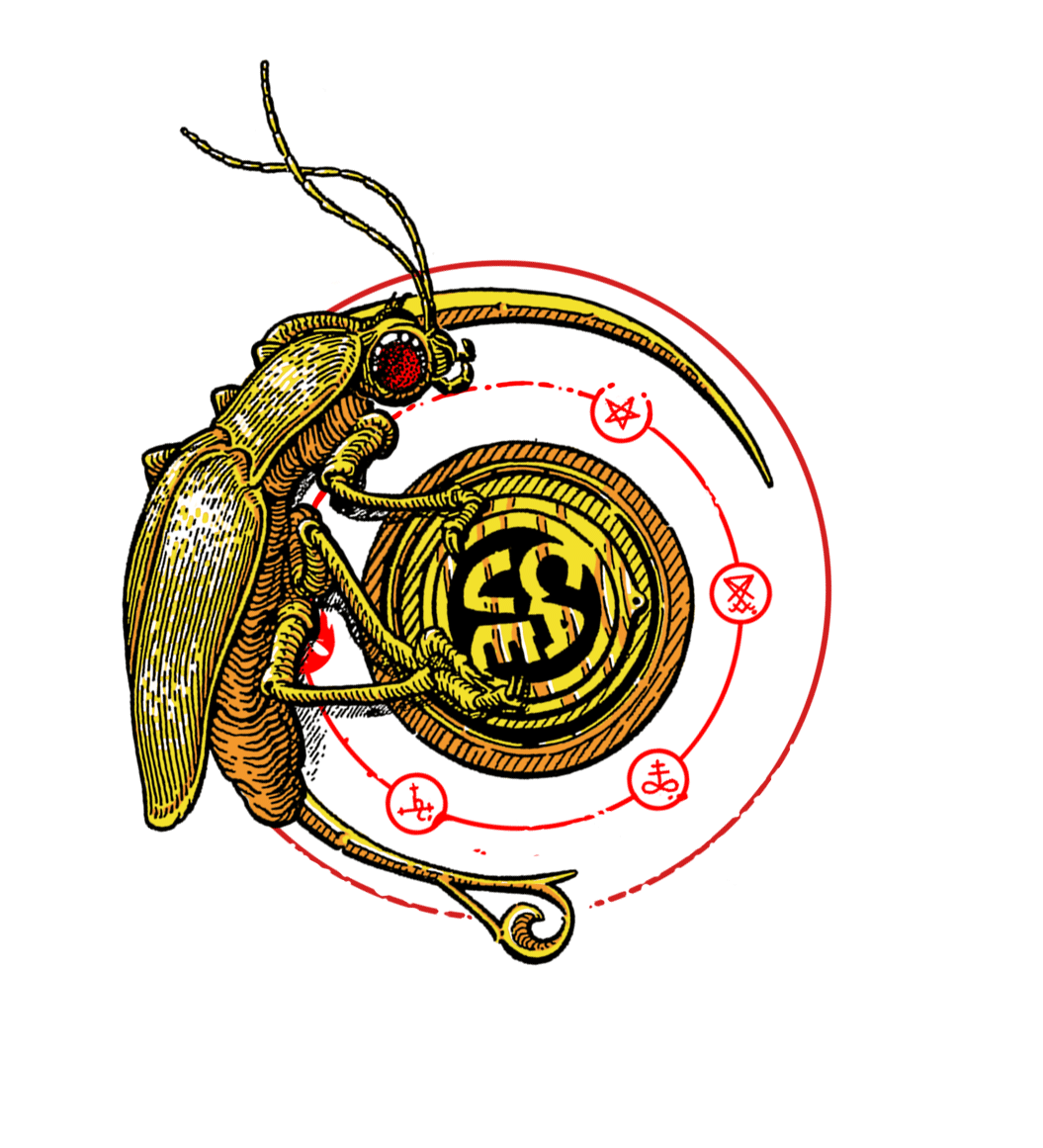 Logo microbrasserie de la cave à musique